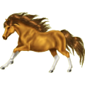 Reitpferd Mustang Fuchs mit heller Mähne