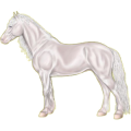 Reitpferd Andalusier Hellgrau