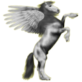 Pegasus-Reitpferd Andalusier Rappe