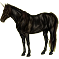 Einhorn-Reitpferd Araber Fuchs