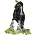 Reitpferd Trakehner Brauner