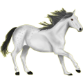 Reitpferd Mustang Fuchs mit heller Mähne