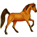 Reitpferd Andalusier Hellgrau