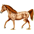 Reitpferd Don-Pferd Fuchs