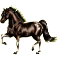 Reitpferd Paint Horse Overo-Fuchsschecke