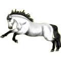Reitpferd Araber Rappe