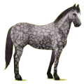 Reitpferd Paint Horse Overo-Fuchsschecke
