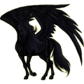 Pegasus-Pony Quarter Pony Fuchs