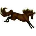 Reitpferd Mustang Dunkelfuchs