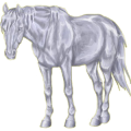 Reitpferd Andalusier Apfelschimmel