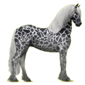 Pegasus-Reitpferd Friese Rappe