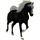 Reitpferd Don-Pferd Apfelschimmel