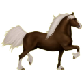 Pony Quarter Pony Palomino mit Tobiano-Scheckung
