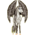 Pegasus-Reitpferd Andalusier Brauner