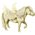 Pegasus-Pony Shetlandpony Rappe