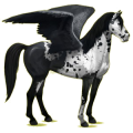 Pegasus-Reitpferd Mustang Falbe