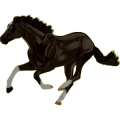 Pegasus-Reitpferd Trakehner Brauner