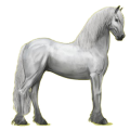 Reitpferd Friese Rappe
