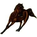Reitpferd Französischer Traber Dunkelfuchs