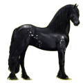 Reitpferd Friese Rappe
