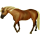 Pony Quarter Pony Rappe
