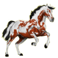 Reitpferd Paint Horse Fuchs mit Tobiano-Scheckung