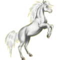 Pony Deutsches Reitpony Brauner