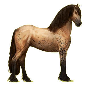 Reitpferd Friese Rappe