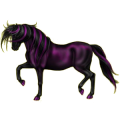 Reitpferd Rappe