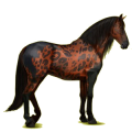 Reitpferd Brauner