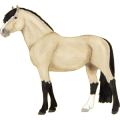 Pony Deutsches Reitpony Brauner