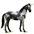 Einhorn-Reitpferd Deutsches Reitpferd Fuchs