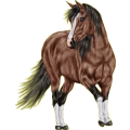Pony Brauner