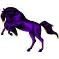 Reitpferd Andalusier Rappe