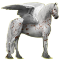 Pegasus-Reitpferd Friese Rappe