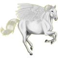 Pegasus-Pony Deutsches Reitpony Hellgrau