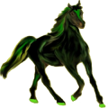 Reitpferd Araber Dunkelbrauner