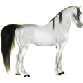 Pegasus-Reitpferd Andalusier Hellgrau