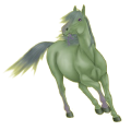 Reitpferd Araber Apfelschimmel
