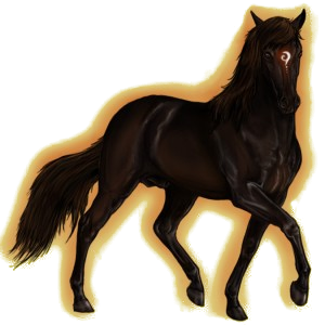 Reitpferd Araber Dunkelbrauner
