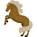 Reitpferd Trakehner Cremello
