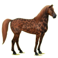 Reitpferd Mustang Roan