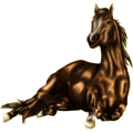Reitpferd Morgan Dunkelbrauner