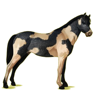 Pony Deutsches Reitpony Fuchs