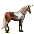 Einhorn-Reitpferd Apfelschimmel