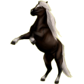 Pony Neufundland Pony Apfelschimmel