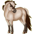 Pony Deutsches Reitpony Falbe
