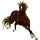 Reitpferd Mustang Dunkelbrauner