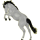 Reitpferd Appaloosa Schabrackenpalomino