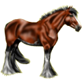 Reitpferd Tinker Dunkelfuchs mit heller Mähne